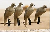 Опудала горлиці Моджо (MJ4)