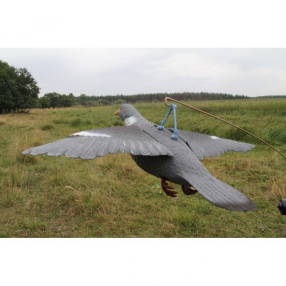 Голубиний магніт (ГМ)