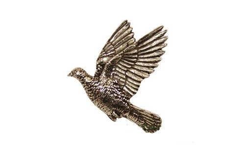 Значок "Вяхирь" (B34)