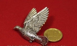 Значок "Вяхирь" (B34)