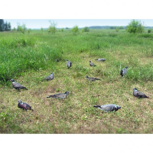 Профилі вяхира