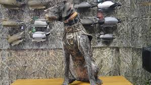Жилет Avery Boater's Dog Parka Жилет Avery Boater's Dog Parka