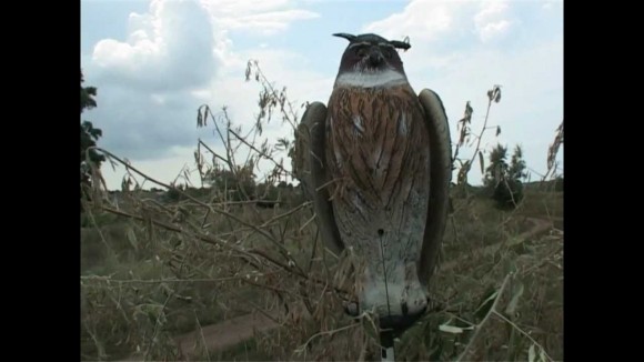 Опудало пугача (87-00)