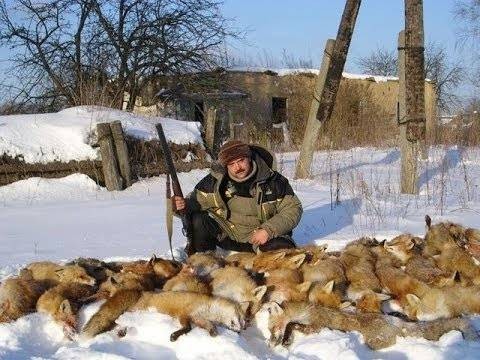 Опудало пораненого зайця (LDPACK)