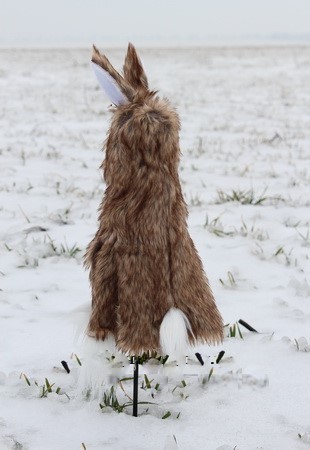 Опудало пораненого зайця Joker (LDJ)