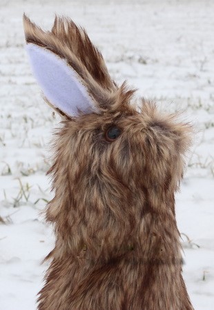 Опудало пораненого зайця Joker (LDJ)