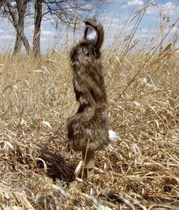 Опудало пораненого зайця (LDQC)