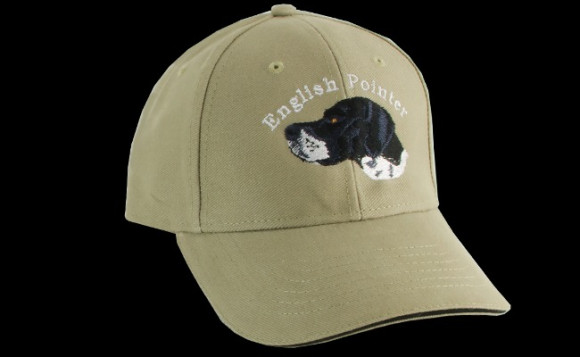 Кепка голова Поінтнера