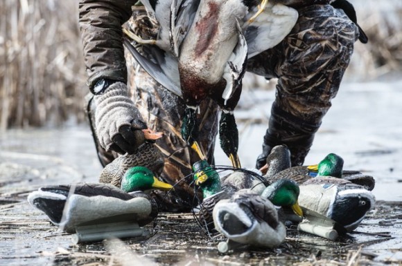 Чучела Lucky Duck Deception Series