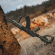 Пістолетна рукоятка KEY-ARMA KEY-107 для AK з полімеру Пістолетна рукоятка KEY-ARMA KEY-107 для AK з полімеру
