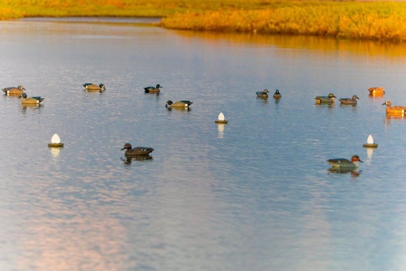 Приманка Mojo Flock A Flicker