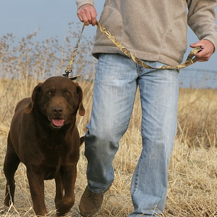 Повідець Avery Standart Leash 3 кольори