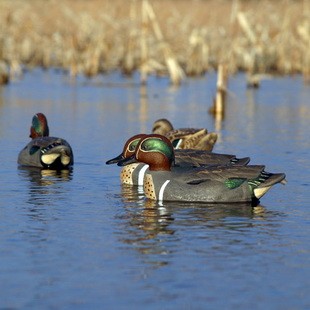 Чучела чирка Flambeau 6 шт.