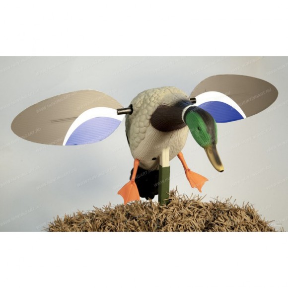 Опудало селезня крякви Mojo Baby Drake 