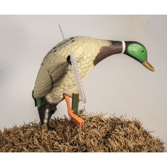 Опудало селезня крякви Mojo Baby Drake 