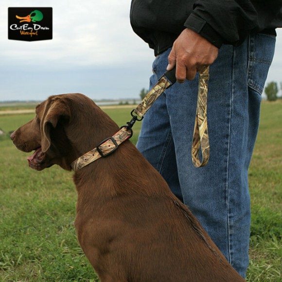 Повідець Avery Trainer's Lead 3 кольори