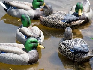 Чучела Greenhead  Essential (ES-12)